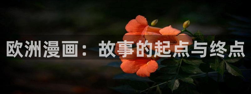 虫虫漫画登录页面免费漫画看漫画带视频的：欧洲漫画：故事的起点与终点