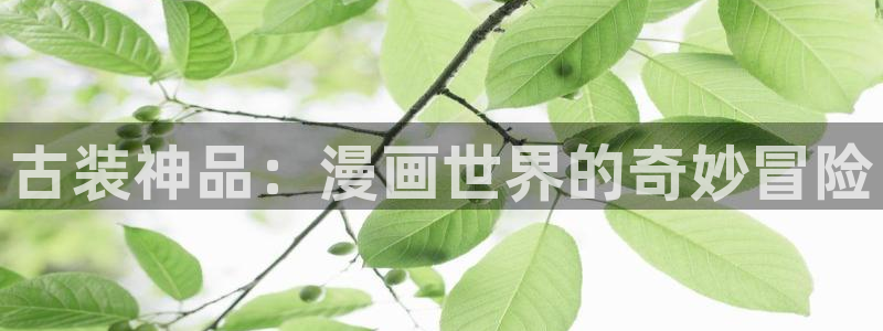 虫虫漫画在线观看免费阅读全文：古装神品：漫画世界的奇妙冒险